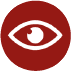 Visual Spark Analysis Icon